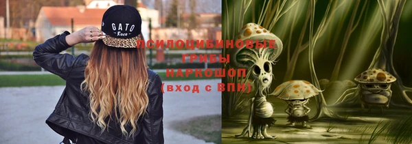 твердый Кулебаки