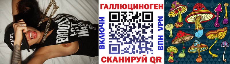 купить наркотик  Каспийск  Псилоцибиновые грибы GOLDEN TEACHER 