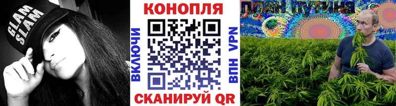 мега   Каспийск  Бошки марихуана конопля 